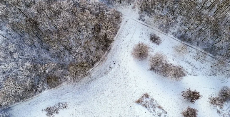 Voor wie is 'De broodkruimelvrouw'