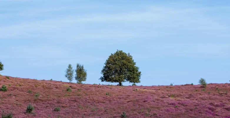 Zwaarder dan een schooltas